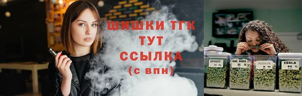 гидра Абаза