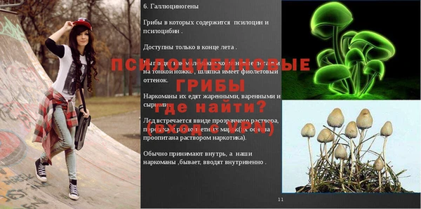 гидра Абаза