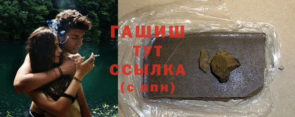 гидра Абаза