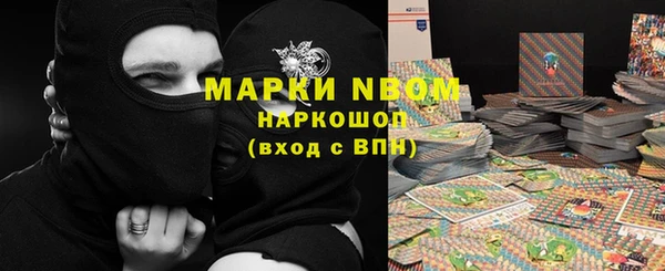 гидра Абаза