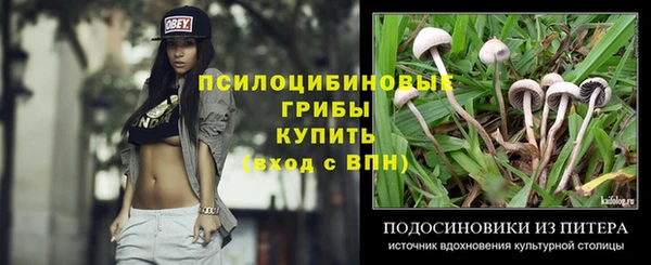 МДПВ Абинск