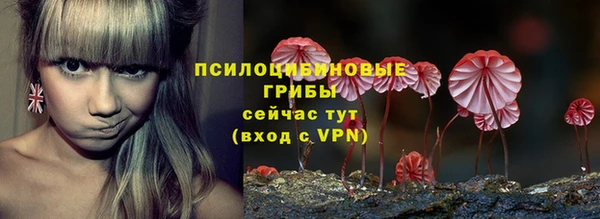 гидра Абаза