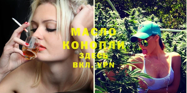 гидра Абаза