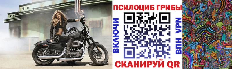 купить наркотик  Остров  Галлюциногенные грибы Psilocybe 