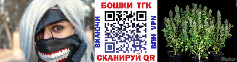 mega онион  Остров  Каннабис семена 